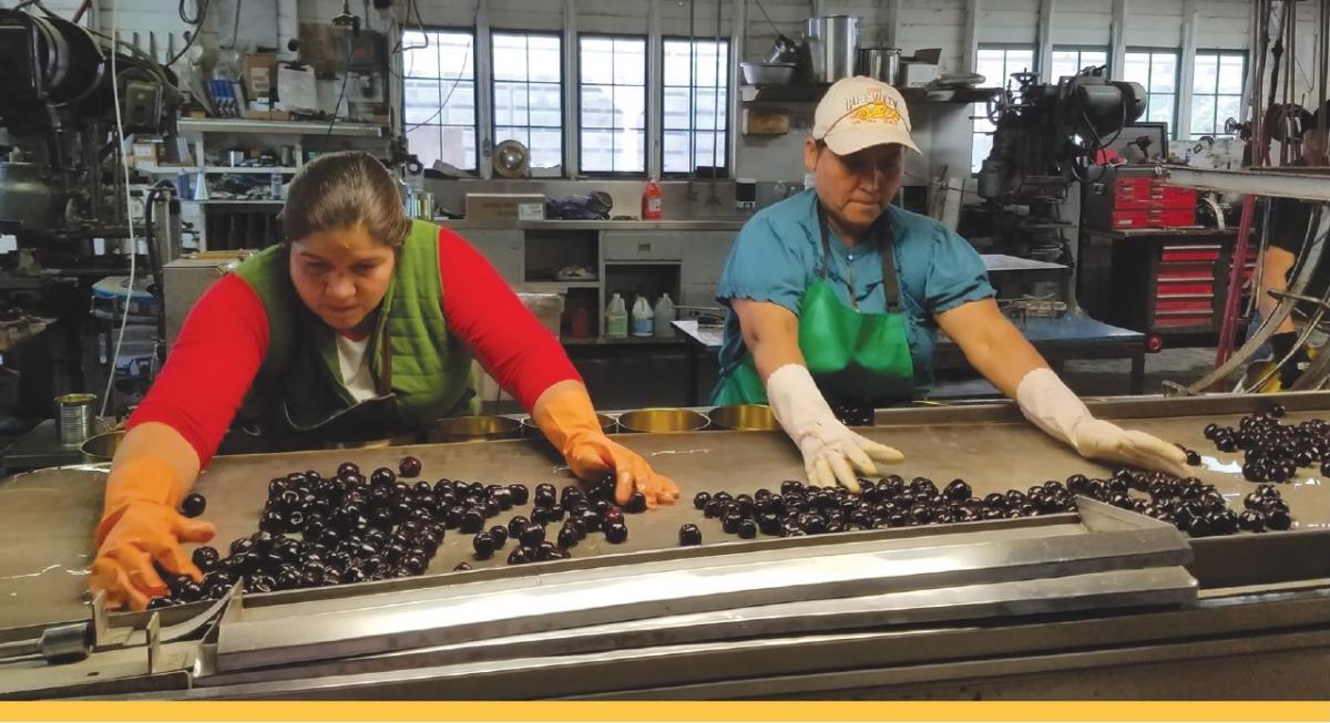 Entre el 80 y el 90% de quienes trabajan en el sector son mujeres