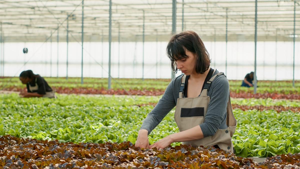 267.815 mujeres están afiliadas al Sistema Especial Agrario