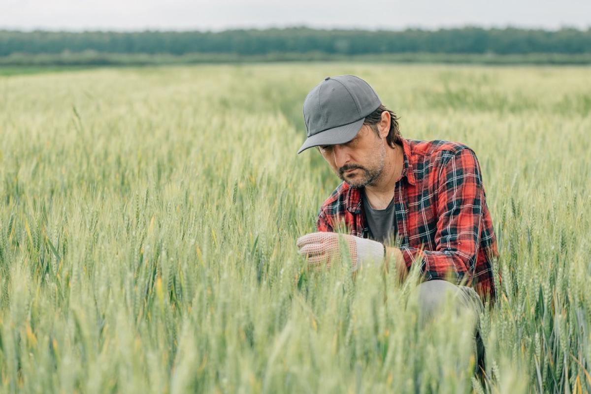 Andalucía es la comunidad autónoma que concentra más paro agrario