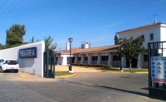Ybarra
