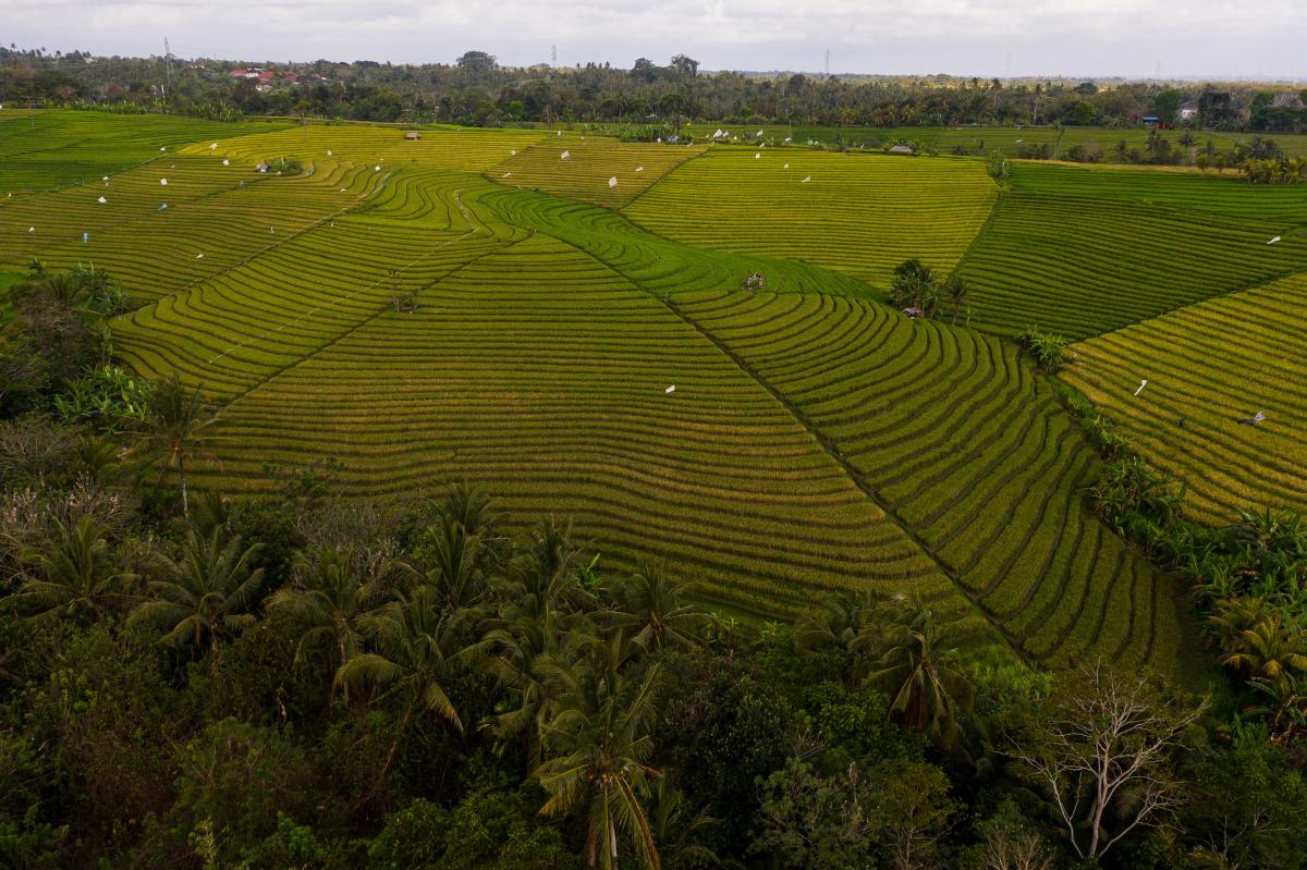 En el sector agrario la reducción del desempleo agrario ha sido del 18,7% respecto a hace un año (imagen de Pexels)