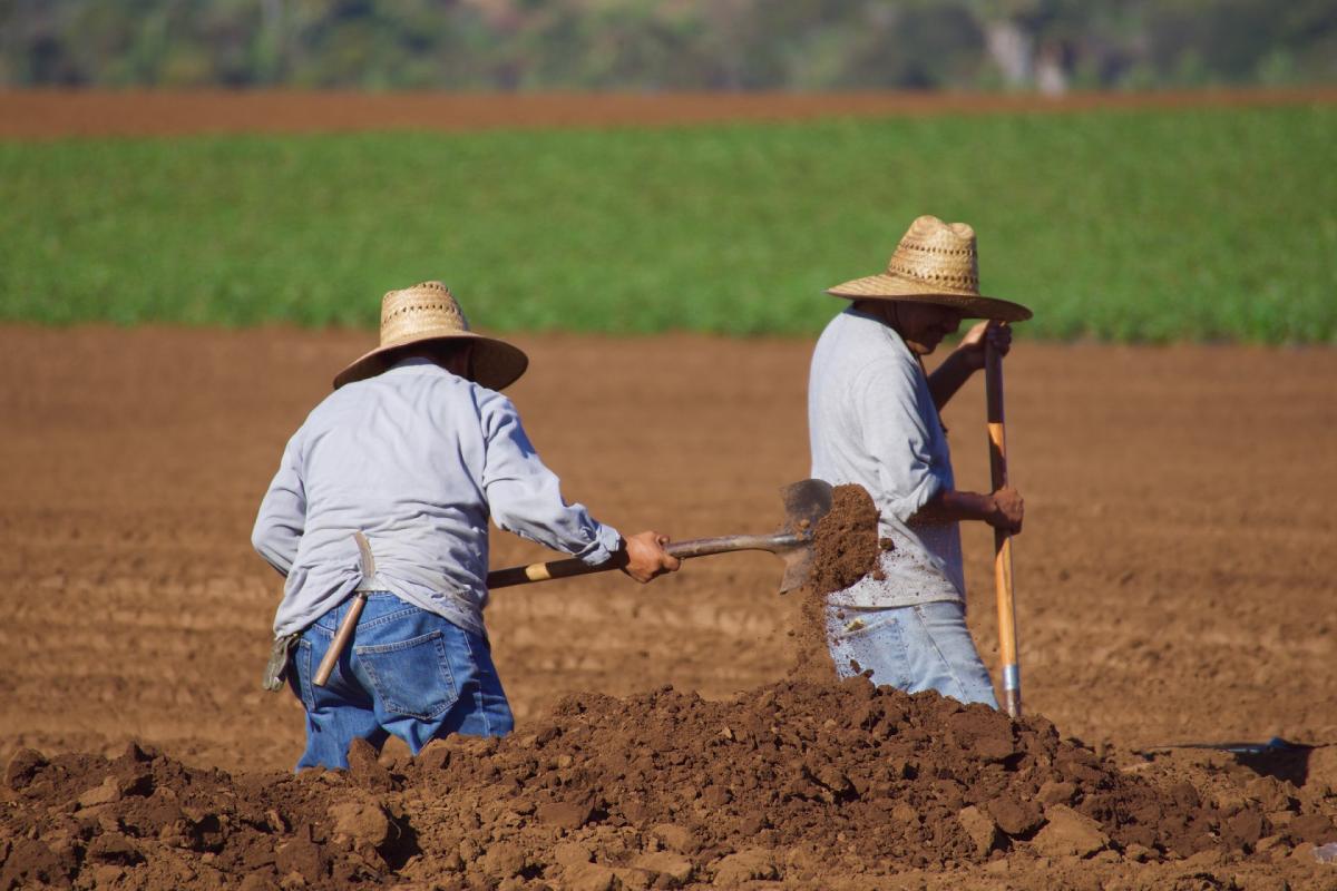 En el sector podrían refugiarse personas que son expulsadas de otras actividades