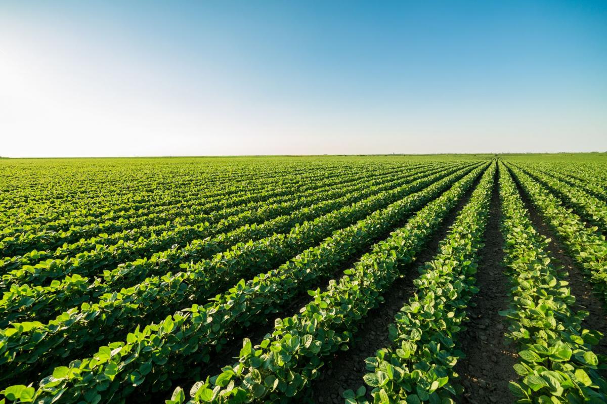 Propuestas para afrontar la nueva situación en el sector agrario
