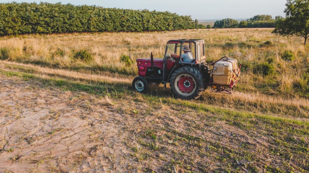 Imagen de campo (de Pexels)